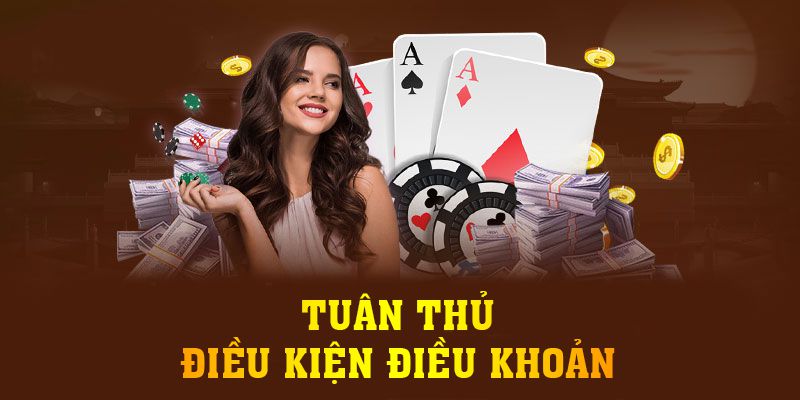 Tuân thủ điều kiện điều khoản 